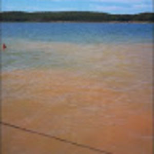 Meet your Posher, Dorothy